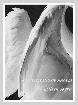 cover image of A Gathering of Angels